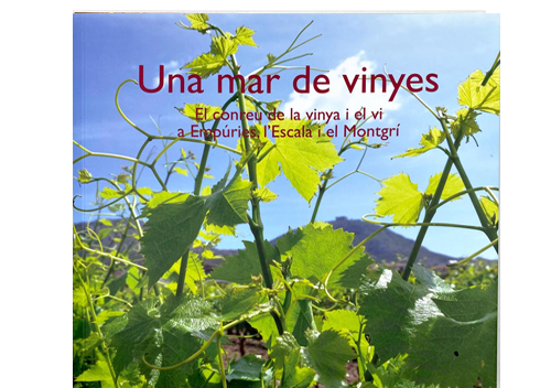 Un mar de vinyes