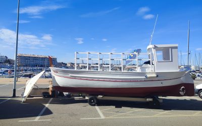 Alumnes de la Universitat Autònoma de Barcelona (UAB) escanegen la barca de teranyina “Paca”