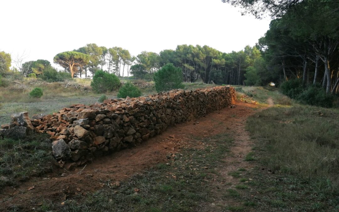 El Museu de l’Anxova i de la Sal de l’Escala organitza una ruta per conèixer el paisatge i la pedra seca el proper dissabte 24 de maig